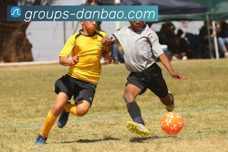 担保官网APP 高清赛事图